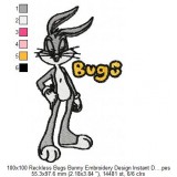 100x100 Reckless Bugs Bunny Embroidery Design Instant Download
